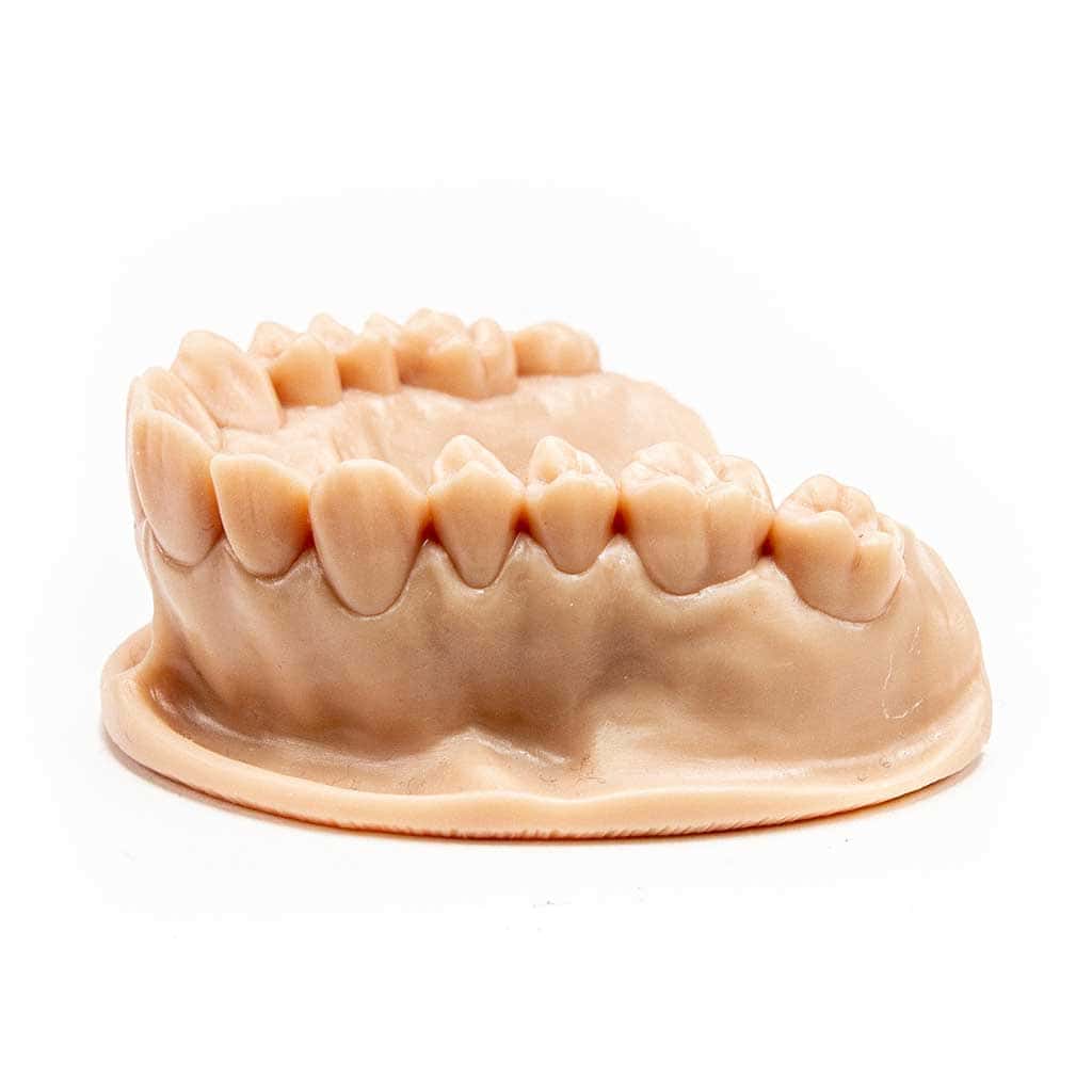 3D Dental LCD Resin - Model - High quality filaments - Formfutura